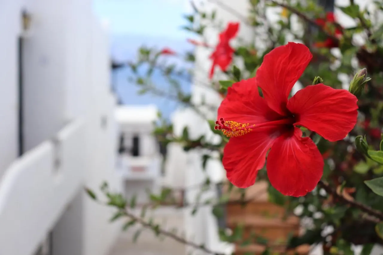 Apartamento Casa Lina Gáldar